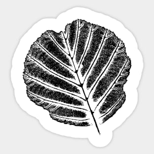 Leaf - Ash Tree / Nature & Plant Design Sticker